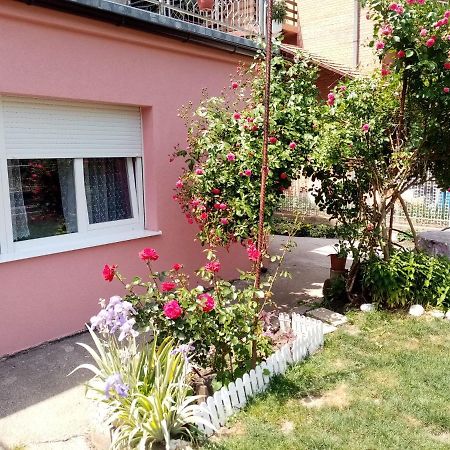 Apartman Vesna Овчар Баня Экстерьер фото