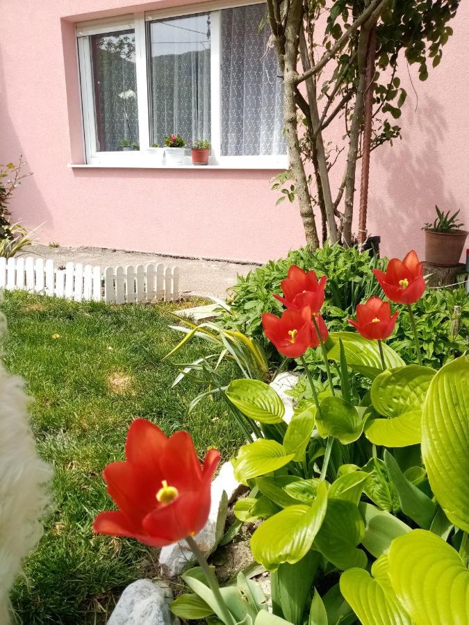 Apartman Vesna Овчар Баня Экстерьер фото